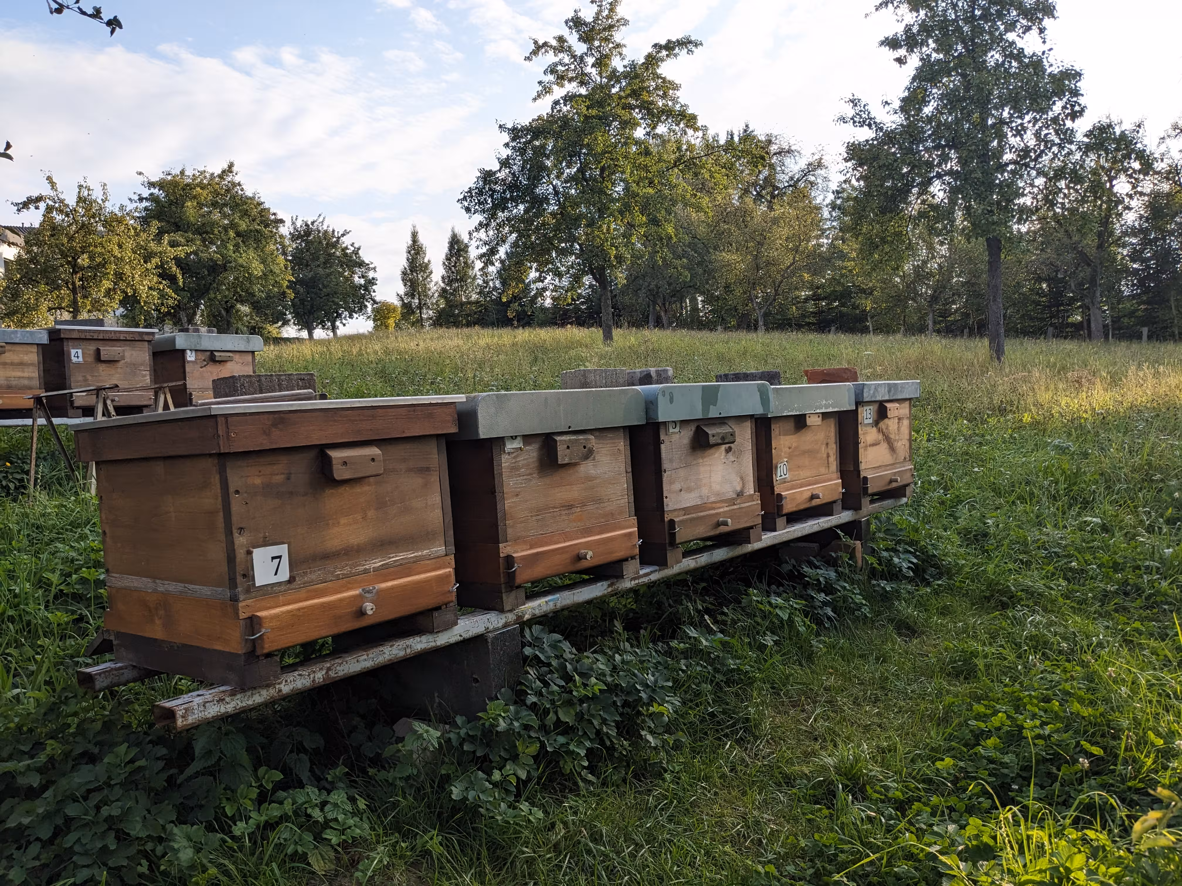 Bienenstöcke